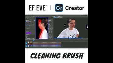 Volumetric video cleaning with brush functionality