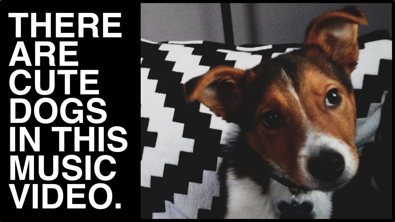 Jack Droppers & the Best Intentions - Dog Years [Official Video]