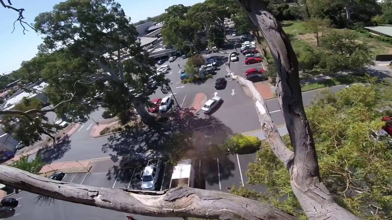 Mitcham Council Chambers Deadwood