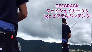 ☆バス釣り☆真夏の琵琶湖でマットパンチングゲーム！  マットパンチングでGOODサイズ！！ screenshot 5