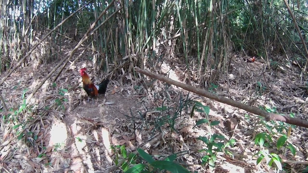 Pang 23 ni palung Buti at di sumalpok KC ang haba ng tahid.