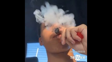 Iayze - YSL [snippet]