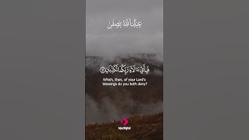 🕊️ «وصفٌ يلامس القلب | ﴿ فِيهِمَا عَيۡنَانِ تَجۡرِيَانِ ﴾ من سورة الرحمن»