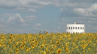 Архстояние и чемодан музыки - РЕАЛЬНОСТЬ.Новости Архстояние и чемодан музыки - РЕАЛЬНОСТЬ.Новости