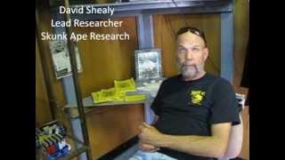 Skunk Ape - Myth or Reality