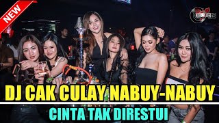 DJ CAK CULAY NABUY-NABUY X CINTA TAK DIRESTUI NEW 2022 - DJ GUNTUR JS TEAM