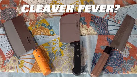 What CLEAVER is the best knife for you?
