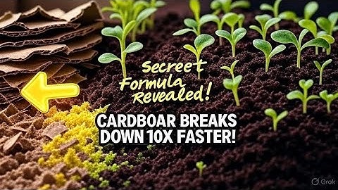Speed Up Composting FAST | Cardboard Decomposition Secrets Gardeners Must Know