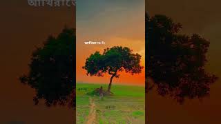 আল্লাহ বলেছেন তোমরা নিজেই নিজের হিসাবের জন্য যথেষ্ট‼ Anisur Rahman Ashrafi Saha Alam #islamic #viral