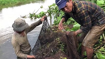 lưới cá sông / dính cá rô phi hơi nhiều / hai lúa nhà quê / 21