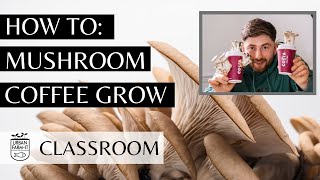 How To Grow Mushrooms On Coffee Grounds (Easy & Sustainable) | Urban FarmIt's Classroom