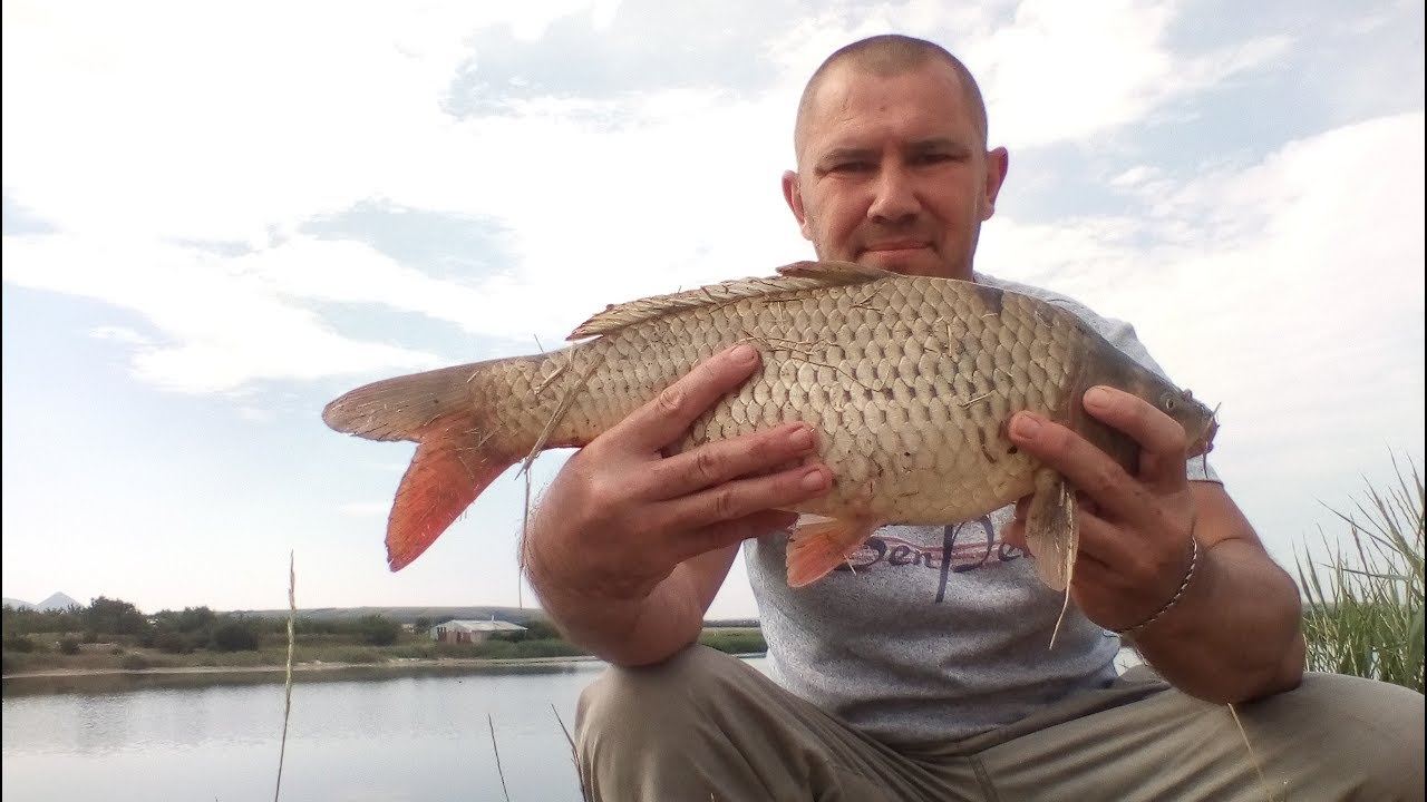 Рыбалка в крае видео. Ростовановское водохранилище Ставропольский край. Платная рыбалка в Ставрополе. Рыбалка в Тищенском Ставропольского края. Ростовановское водохранилище рыбалка.