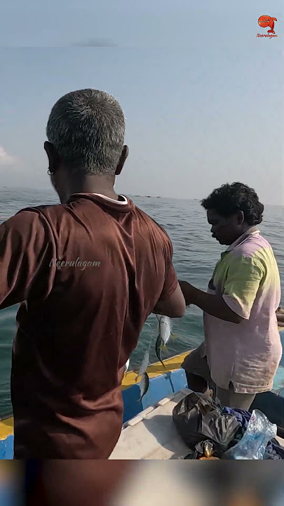 Sea Fish Catching Videos #fishing #fishingvideo #fishingtime
