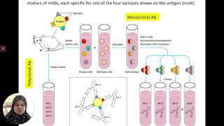 BMT 311 Lec 21 Diagnostics & Research (1)
