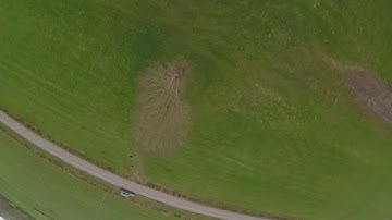 Testing betaflight 4.0 with rpm filter with reasonable wind.