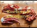 Чем отличается камчатский краб от краба стригуна (опилио,снежный)