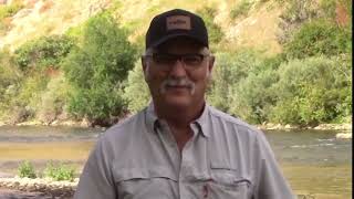 Trout's Vision Underwater, Understanding the Trigger Mechanism. Dry Fly Fishing, Nymph Fishing.