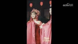 [2024年春节戏曲晚会]倒计时三天|中华戏韵