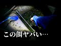 海藻の上にたまる無料のエサを使うと魚が釣れまくりでスゴすぎた…!!