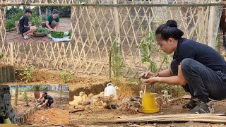 single mom/daily life/harvesting vegetables and going to the market