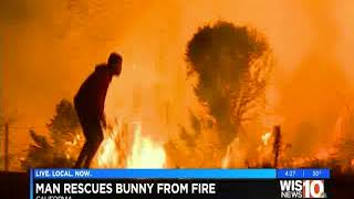 A caring man rescues a wild bunny from California fires