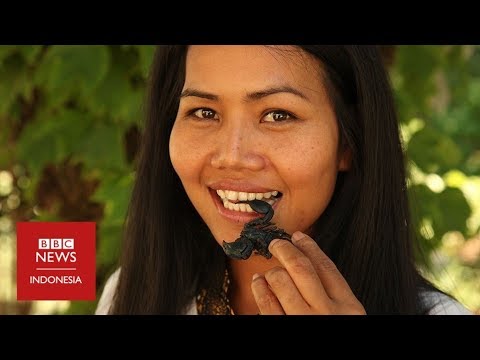 Video: Serangga Boleh Menyebabkan Kelaparan Dunia - Pandangan Alternatif