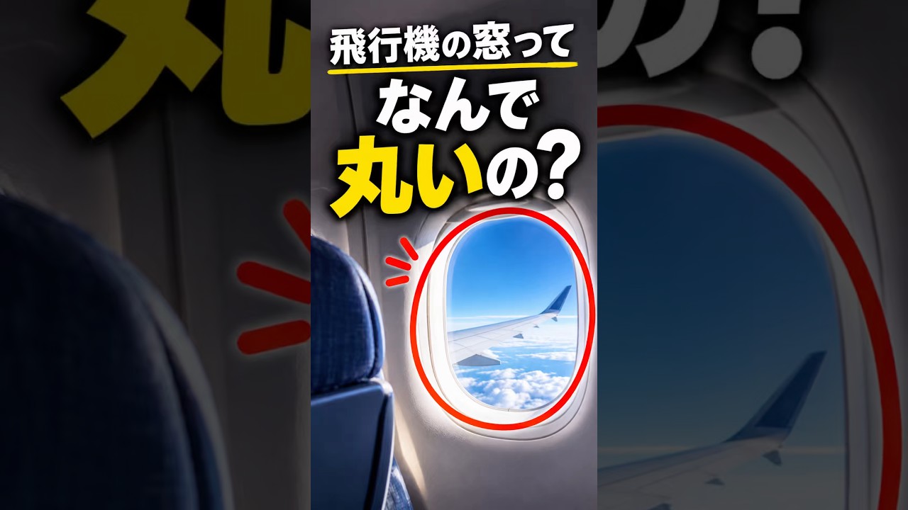 【9割が知らない雑学】飛行機の窓が丸い理由‼️#雑学 #飛行機 #shorts