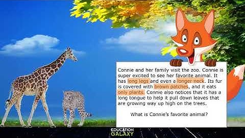 3rd Grade - Reading - Drawing Conclusions in Fictional Texts - Topic Overview