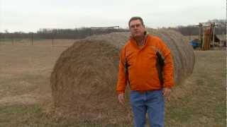Cow-Calf Corner (3/23/13)