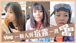 宿霧獨旅！旅行+生活+上課一週都做了這些事？ft. Go ...