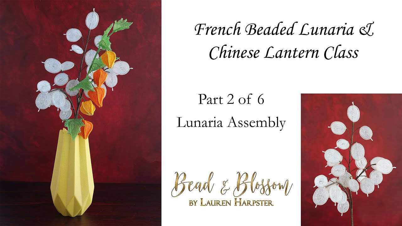 Lunaria Assembly | French Beaded Lunaria and Chinese Lantern Part 2 of 6