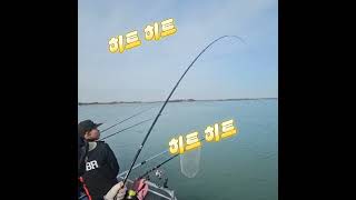 #무안권#대물감성돔#선상원투낚시#목포야타피싱#파란만장#낚시환자#바다로가즈아#fishing