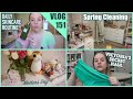 VLOG 151 | Spring Cleaning & Organizing, VS Haul, Packages & more!