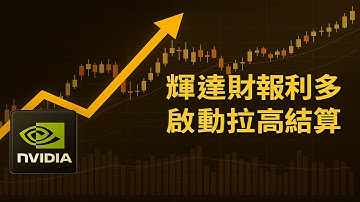 20251120-輝達財報讓拉高結算有譜了!金銀大跌順眼!跌到哪買? NASA公布的照片比業餘天文照片還差?12/19大事即將到來!