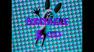 Trauma Cat — Bunnyhole (Official Music Video)