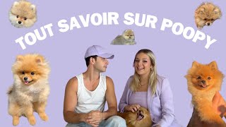 Tout Savoir Sur Poopy