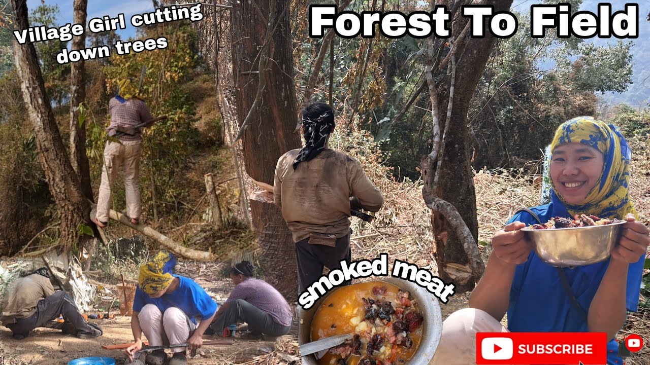 We Cut Down All the Trees For Jhumfield/ Clear The Forest To Field/Cooked Dry meat With Potato