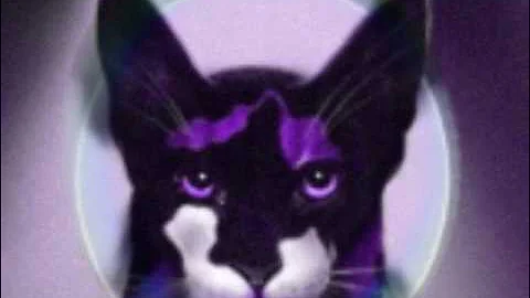 Warrior cat's power of three eclipse Book trailer