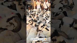BAKRID 2026 | Gudur | Retteri Goat Market 2026 #goat #sheep #farming #video #fyp #market #2026