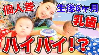 【男女双子】ハイハイ始まってる？赤ちゃんの個人差【生後6ヶ月】Individual differences in mixed twin babies