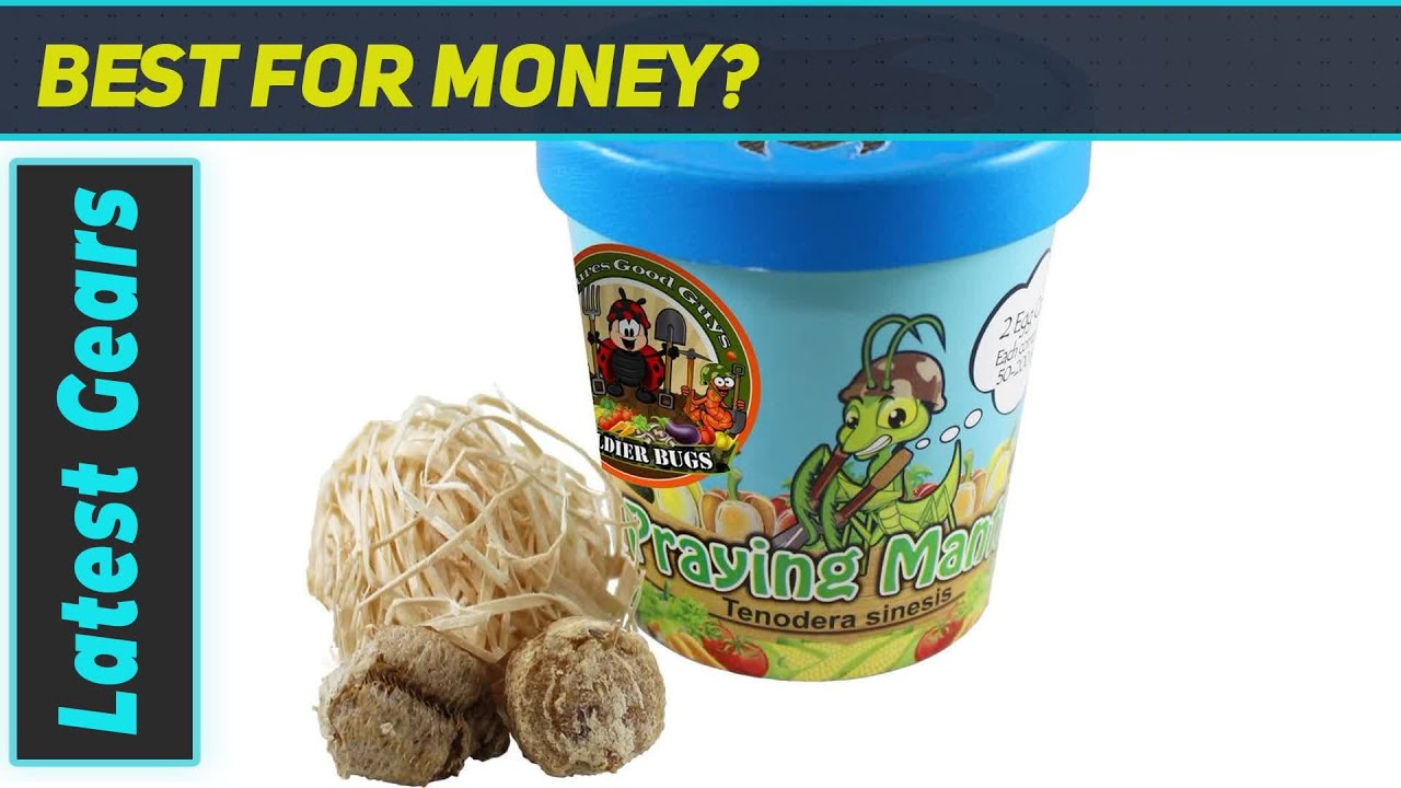 Praying Mantis Egg Case Hatching Kit: Ultimate Unboxing!