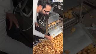 Panipuri Fryer machine | Golgappa Fryer Machine | Panipuri Machine | Automatic Fryer Machine #yt