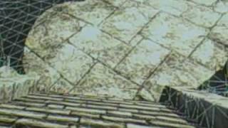 VID00083.AVI