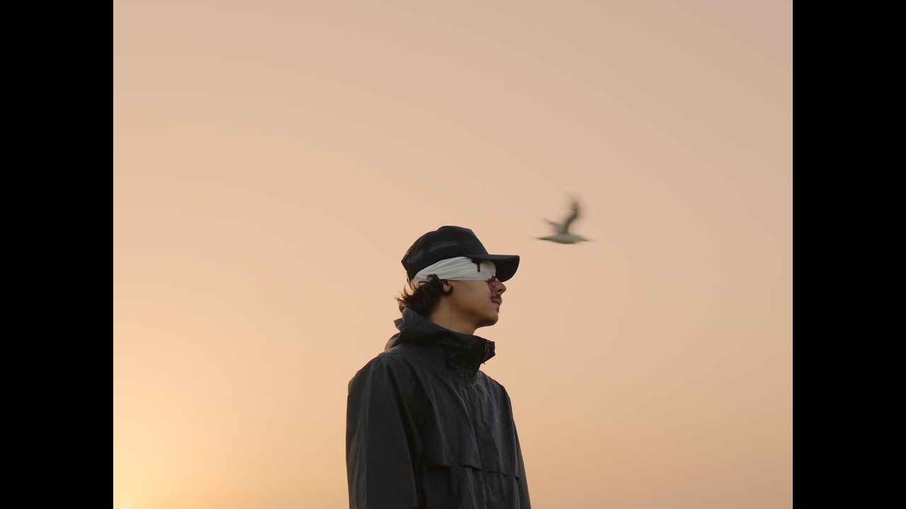 NeS - TOPAZ (clip officiel) - YouTube