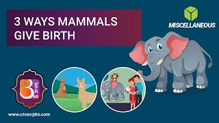 3 Different Ways Mammals Give Birth | Utsav 360