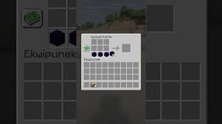 Jaki to przedmiot w minecraft? #6