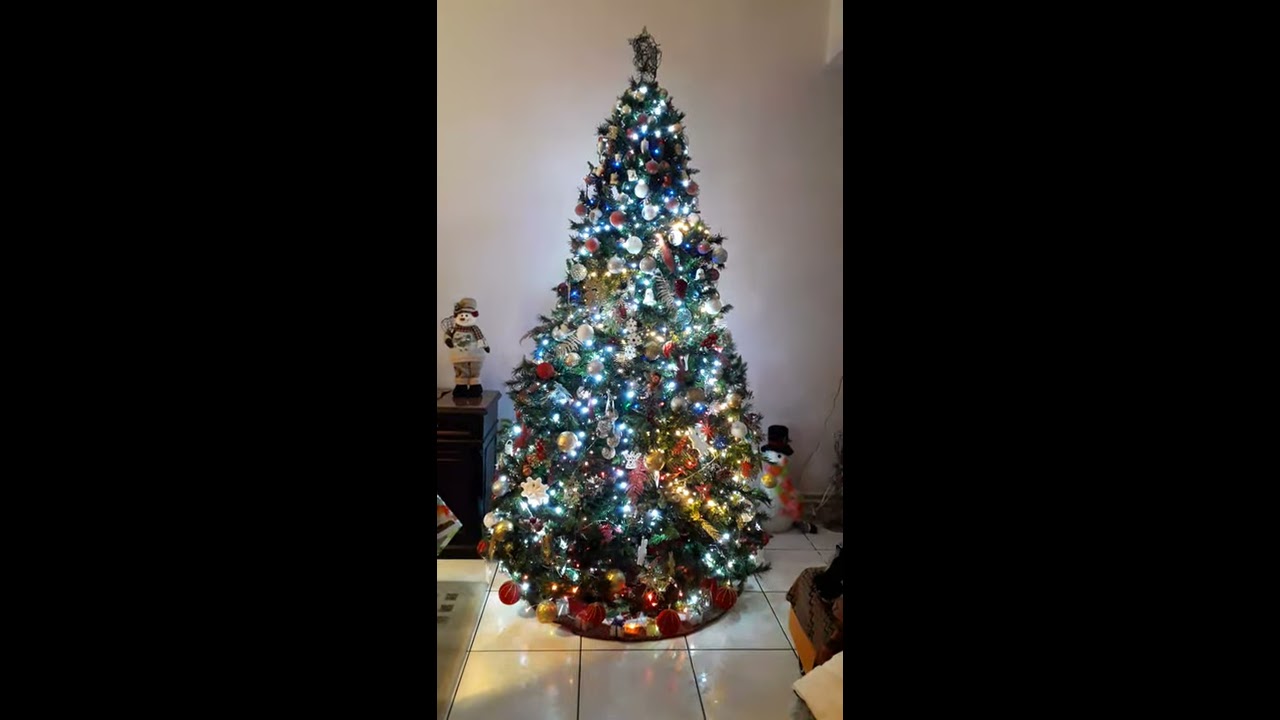 The best Christmas tree - YouTube