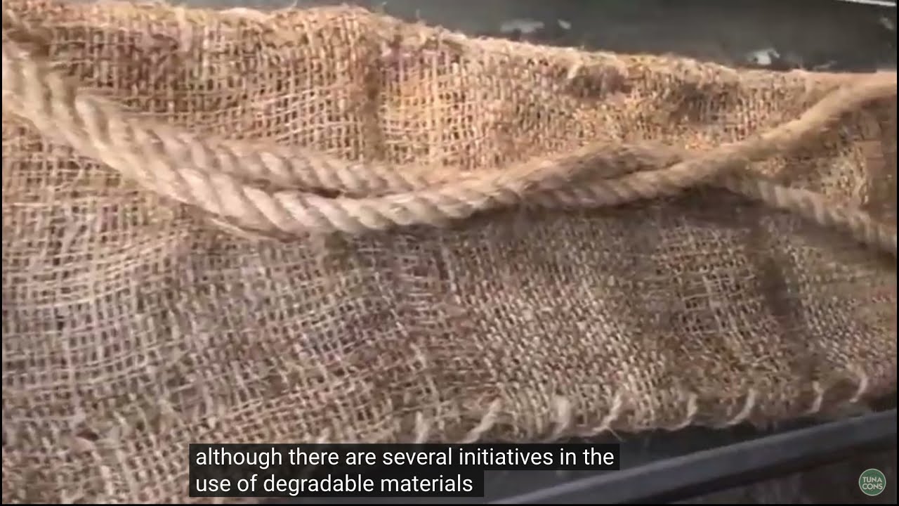 Tuna vessels switch 20% of their quota to plant-based degradable FADs - Fish aggregating devices