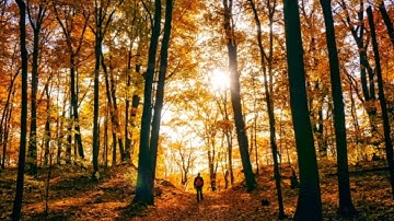 قرآن يتلي أناء الليل وأطراف النهار،مايتلي من أوائل سورة النبأ بصوت القارئ أسامة 💖💖💖💖🥰🥰🥰🥰👑 الصياد 👑