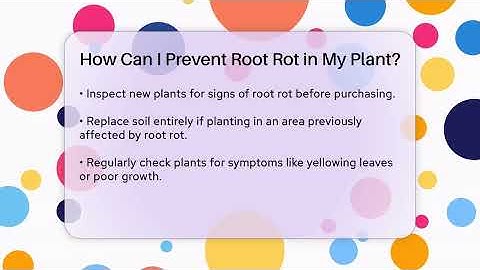 How Can I Prevent Root Rot in My Plant? - The Plant Enthusiast